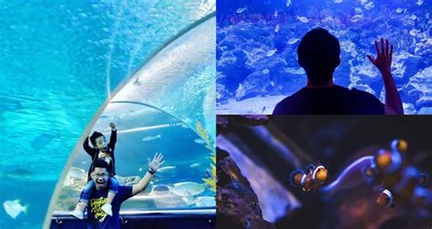 slot booking aquaria